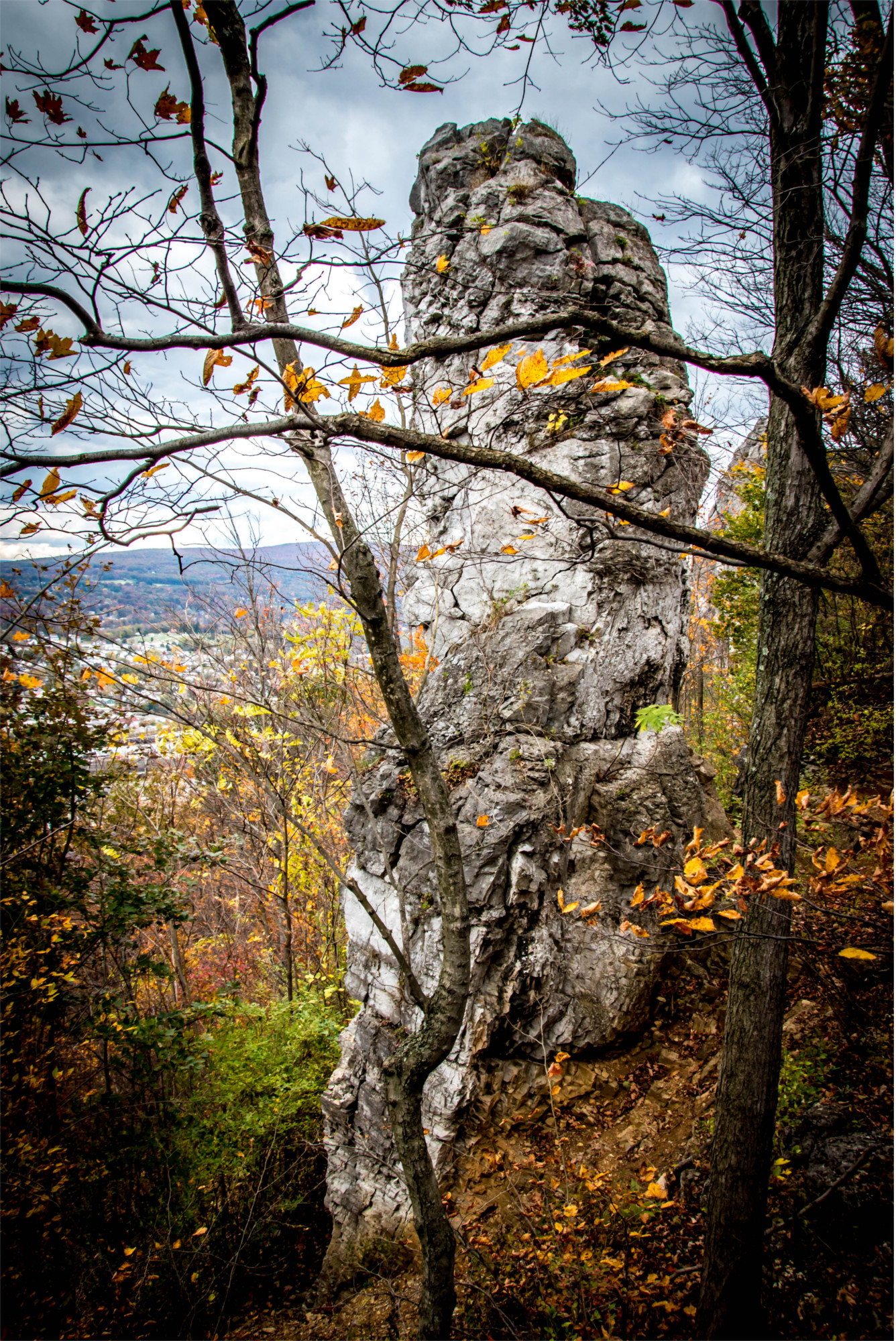 Chimney rock in woods